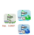 Trident Dental Care 17g *12(3 Flavors)