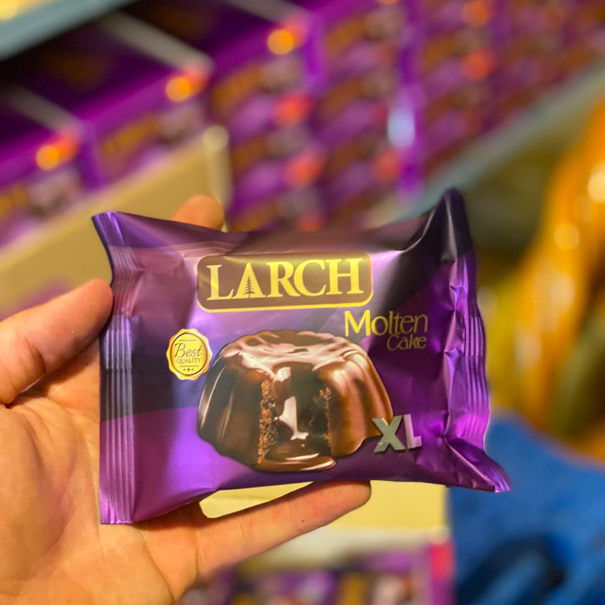 Larch Molten Cake xl 🍫